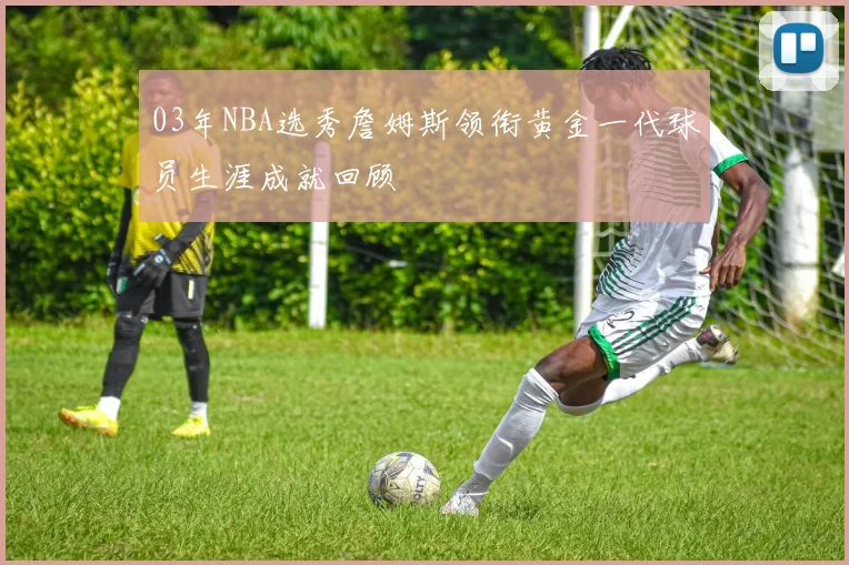 03年NBA选秀詹姆斯领衔黄金一代球员生涯成就回顾