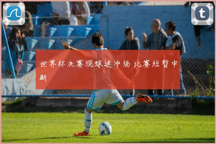 世界杯决赛现球迷冲场 比赛短暂中断
