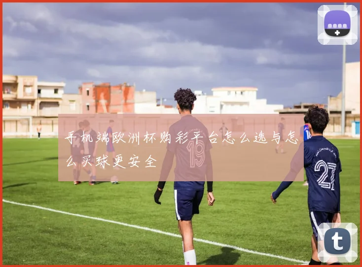 手机端欧洲杯购彩平台怎么选与怎么买球更安全