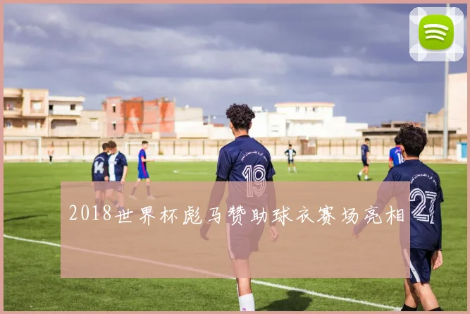 2018世界杯彪马赞助球衣赛场亮相