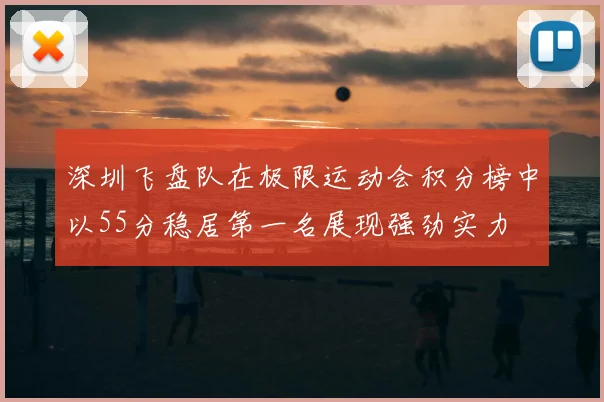 深圳飞盘队在极限运动会积分榜中以55分稳居第一名展现强劲实力